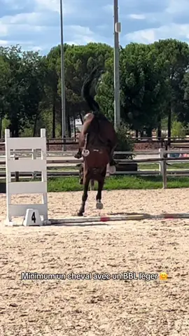 Jsp il voulait faire des acrobaties mdr  #cheval #horse #cso 