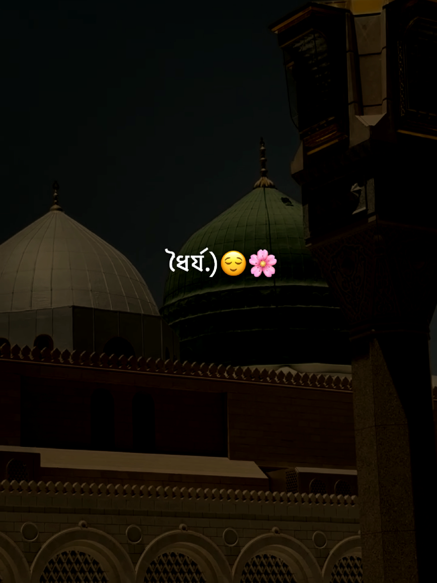 ধৈর্য.)😌🌸 #foryou #fypシ゚ #viralvideo #islamikvideo #your__rubel__6 