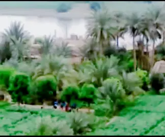 #اشعار_حزن_شوق_عتاب_حب #فراتيات #دير_الزور #العشارة #الحنوش #