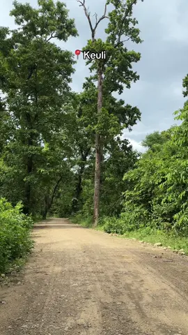 Best place to visit near Butwal and Bhairahawa,📍Keuli#fyp #peace#nature#creatorsearchinsights #butwal 