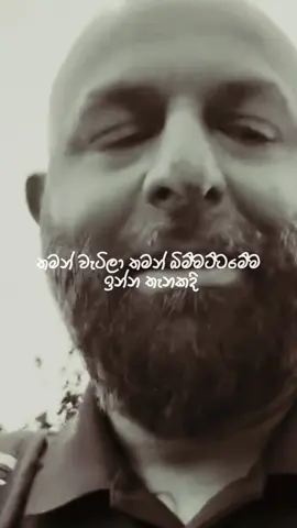 මේ වගේ කෙනෙක් නම් අත අරින්න හිතන්නවත් එපා 🩶 @Harindu Perera  @Harindu Perera  @Harindu Perera  #lyrics #viral #fyp #fypシ゚ #foryou 