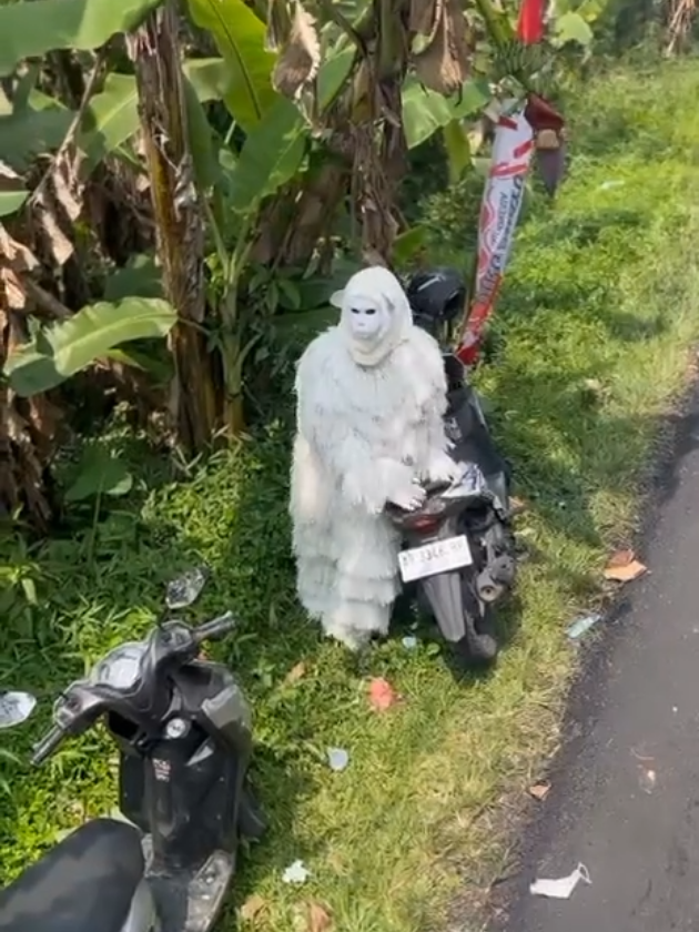 tolong yg tau keberadaan,lepas dari kandang🦍 😭#karnavalwonosobo2025 #wonosobo24jam #karnavaldesaberan2025 #karnaval 