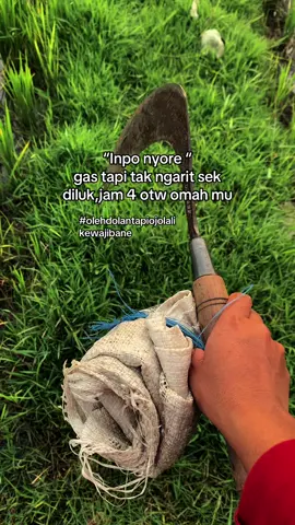 Wut”rampung #serabutanpentinghalal 