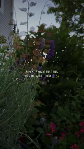 Little things that remind me life is ok 🌿 #whimsical #enya #witchtok #nature #romanticizeyourlife 
