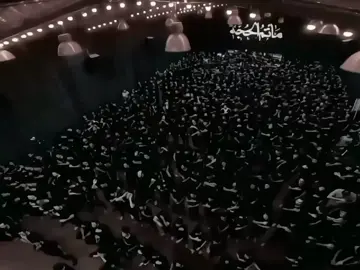 طَلب أحَد المُتابعَين 🤍. #مسلم_الوائلي #ياعلي_مولا_عَلَيہِ_السّلام #بناء_قبر_الامام_الحسن_مطلبنا #الامام_علي #fypシ゚ 