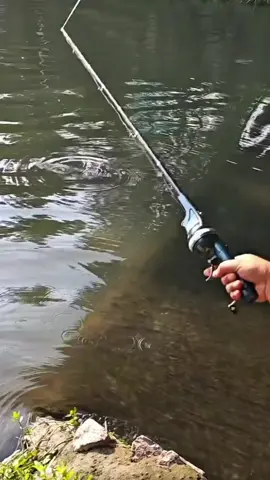 #fishing #equipment #rod 