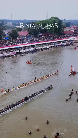 Sang Juara Pacu Jalur Tepian Narosa 2025 Pertarungan Yang Sangat Sengit Antara Bintang Emas Cahaya Intan (kiri) VS Tuah Datuk Keramat Imbang Dialam (kanan) Yang Di Menangkan Oleh Bintang Emas Cahaya Intan (kiri)  Selamat Buat Kedua Jalur Yang Saling Berjuang Hingga Pancang Finis😍,,, #pacujalur #pacujalur2025 #aurafarming #boatkid #bintangemascahayaintan     