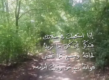 #fy #explore #foryou   #المنشاوي 