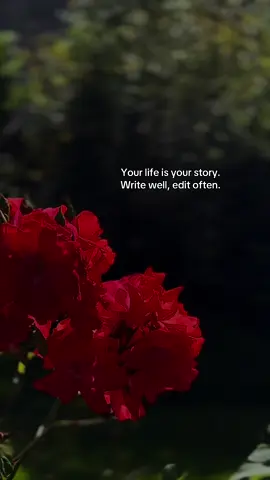 #motivation #motivationalvideo #lifequotes #motivationalquotes #quoteasthetic 