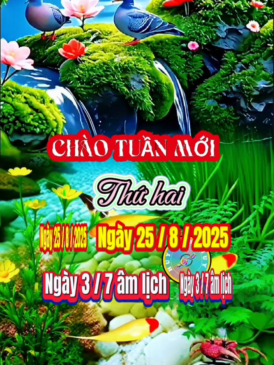 #chaongaymoi #thanhquy #vuicungtiktok 