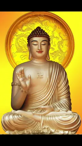 #nammobonsuthichcamauniphat #nammoadidaphat #nammoquantheambotat🙏🙏 