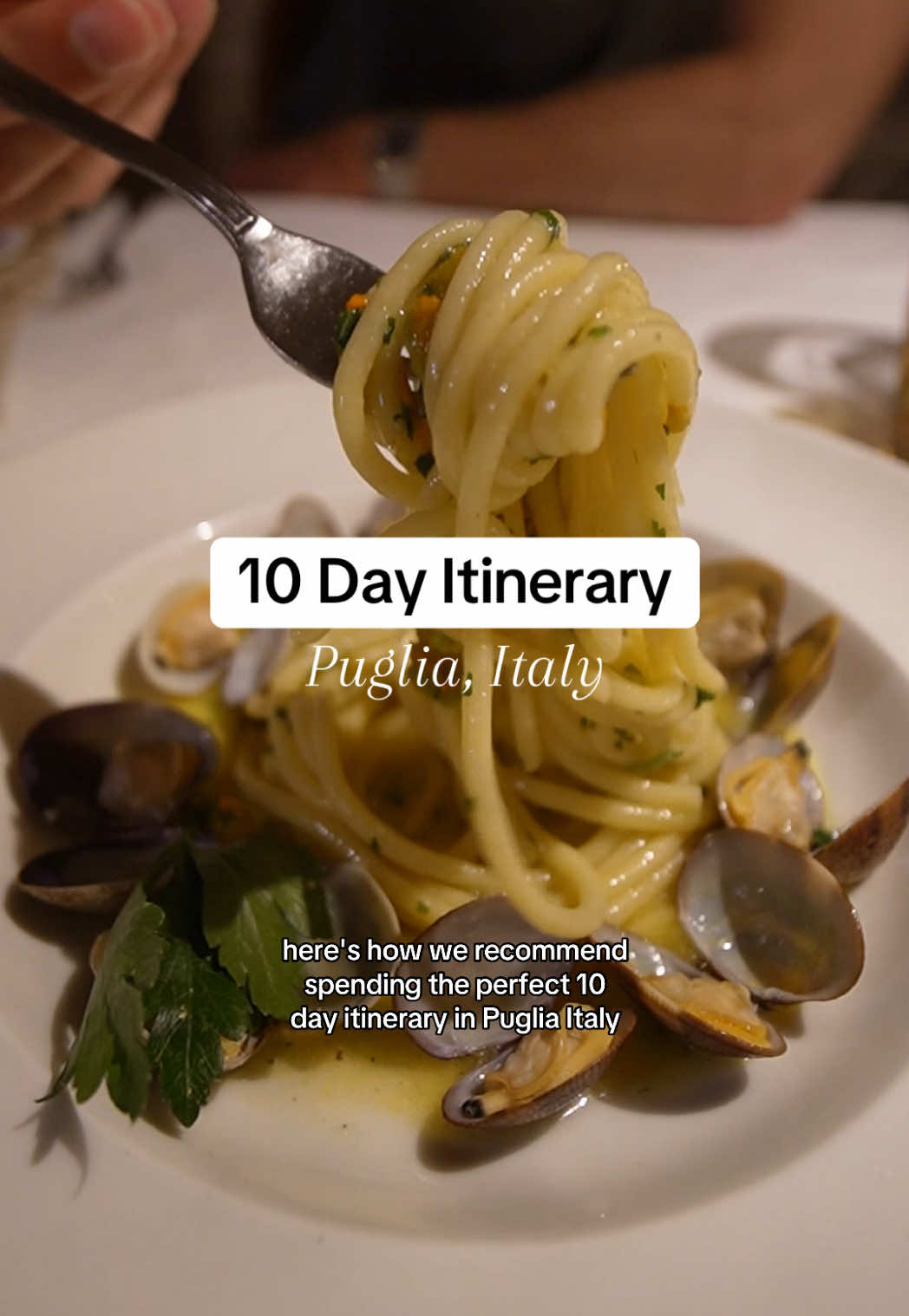 Obsessed with the Puglia region and it should be added to your Italy bucket list! #puglia #pugliaitaly #italytravel #bari #matera 