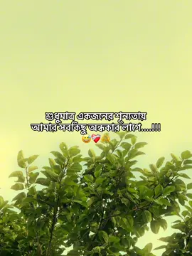 শুধুমাত্র একজনের শূন্যতায় আমার সবকিছু অন্ধকার লাগে....!!! 😅❤️‍🩹🫶#timeline916 #fyppppppppppppppppppppp #fyp @TikTok @TikTok Bangladesh 