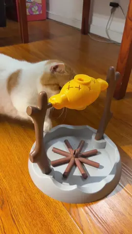 **🔥 Mealtime Just Got Wilder with This Campfire Cat Feeder! 🐾**  Turn dinner into an adventure with our **adorable campfire-shaped feeding toy**! Your cat will *love* hunting for their kibble in this playful, interactive design.  🍗 **Puzzle Fun**: Slow feeding for healthier eating habits  🌲 **Rustic Charm**: Adds cozy cabin vibes to your home  🐱 **Paw-Friendly Design**: Easy to clean & durable for daily use  Perfect for curious kitties who need mental stimulation—because even mealtime should be an adventure!  #CatPuzzleFeeder #SlowFeeding #AdventureAwaits #CatCampfire #SmartCatToys