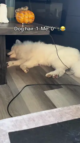 Even my vacuum gave up. This little tool saved me. #dogmomlife #petparents #funnytiktok #relatablecontent #cleaningtok 