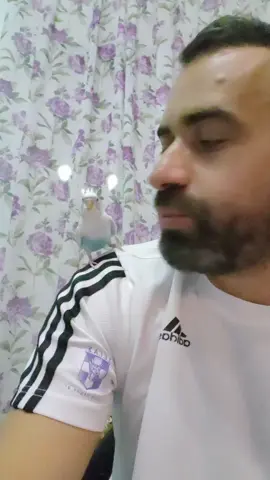 Αυτός ο μικρός παπαγάλος ξέρει να λέει το όνομα του - Όσκαρ - αλλά και πολλά άλλα. Δίνει και φιλάκια.. Oscar gives some kisses. He talks and calls his name.