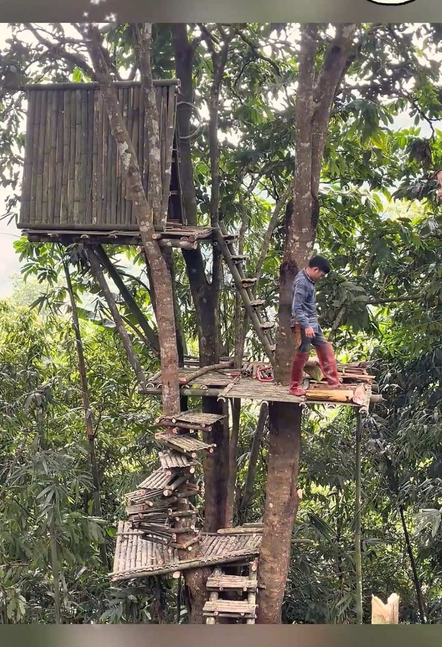 #survival #shelter #bushcraft #camping #foryou #treehouse #fyp 