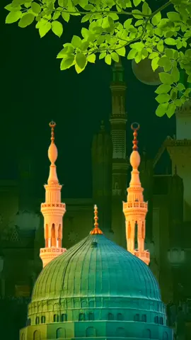 💚🥰വസന്തം പിറന്നു 🥰💚 💚#ഇഷ്ട്ടം #മുത്തുനബി 💚💚💚😍