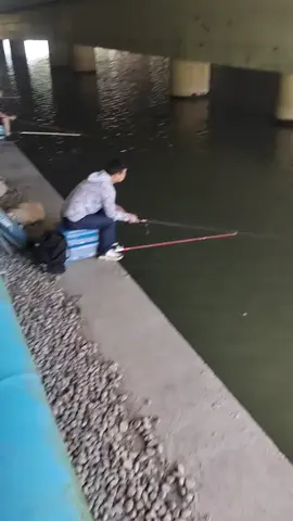 🤣🤣 câu ở đây không lo mưa nắng 