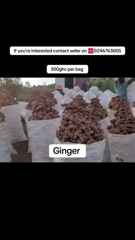 #foruyou #tik_tok #tiktoknews #tiktokviral #foryoupage #goviral #accraghana #fyp #bolgatangatiktok #kumasi #fyyyyyyyyyyyyyyyy #foru #accra #tamaletiktokersofficial #ghanatiktok #fypシ゚ #ppppppppppppppppppppppp #fypp #kumasitiktok #fortnite