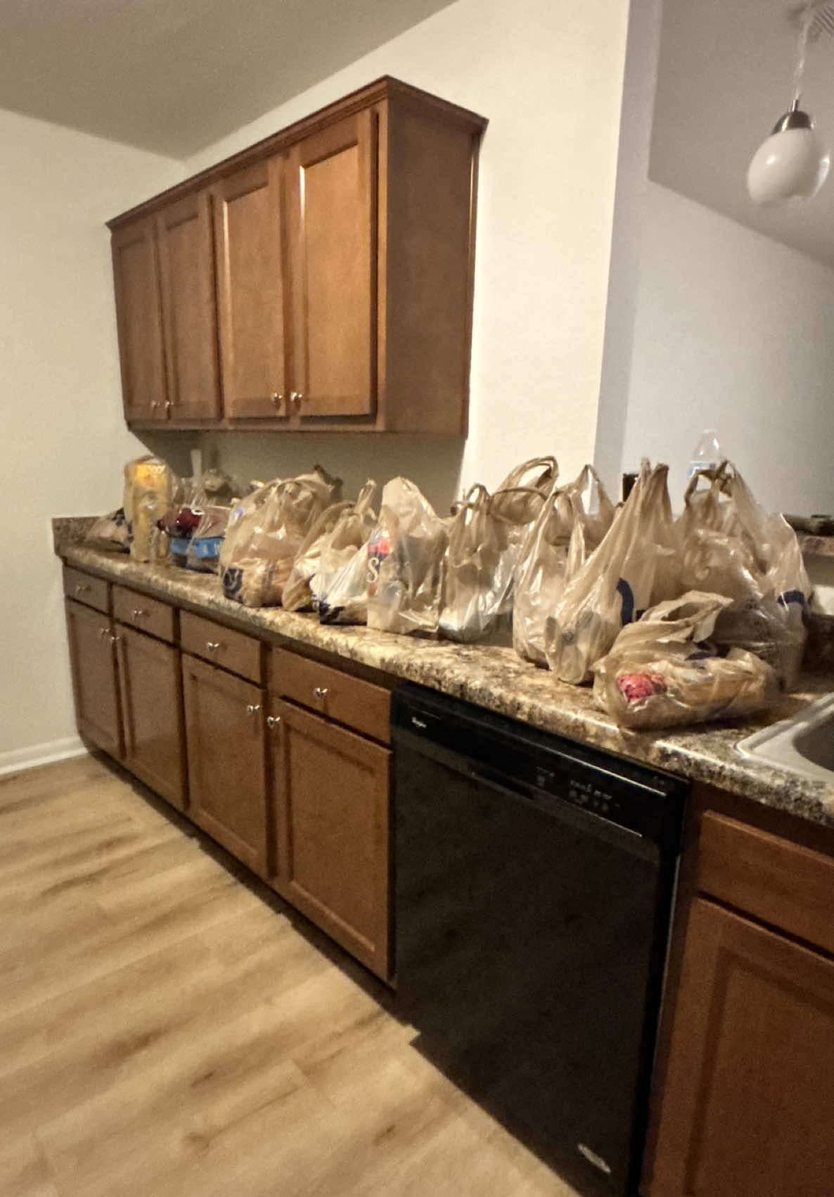$200 Dollars Later.. what’s yall monthly budget? #groceryshopping #groceryhaul #mikeyamichelle #apartment #fyp 