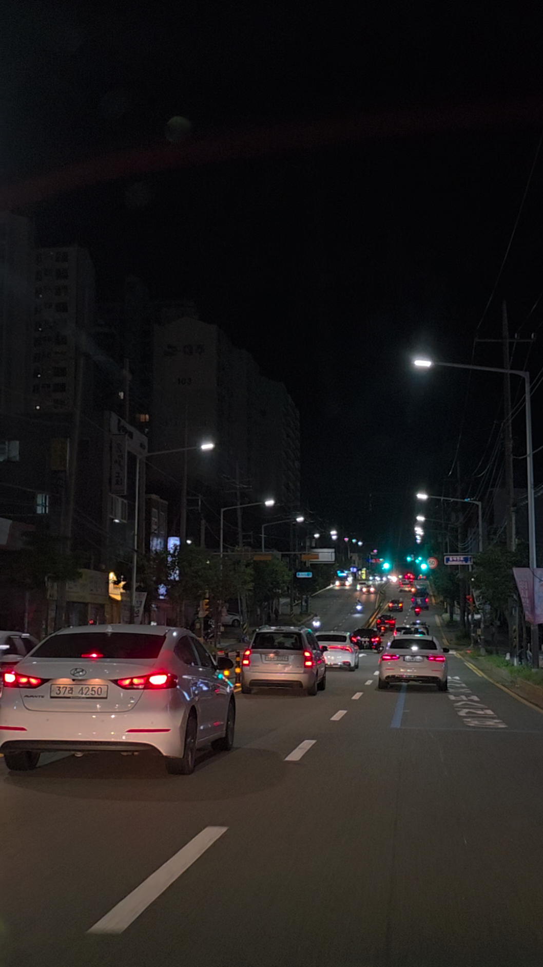 #한국 #Korea #대전 