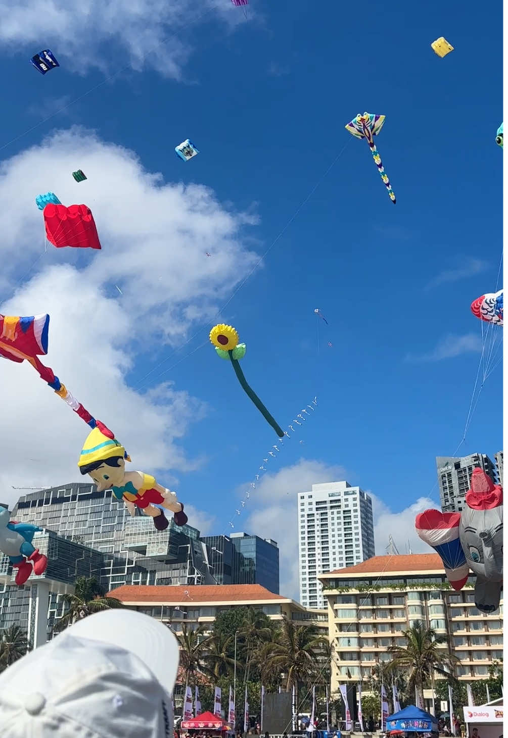 Derana International Kite Festival 🪁😍 #deranakitefestival #kite #colombo #gallefacebeach #fypviralシ 