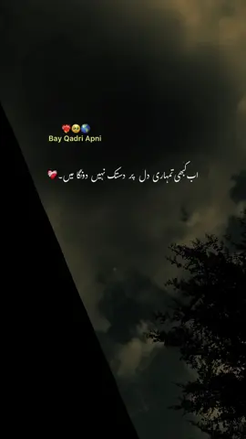 Bay Qadri Apni ❤️🥹 #foryoupage #fyp #aesthetic #1millionaudition #viral 