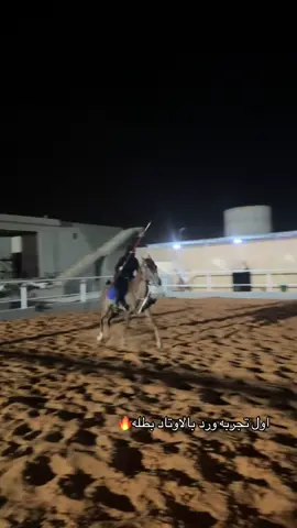 تونا ب البدايه الخير قدام🔥 #خيل_وخياله🐎 #ماشاءالله_تبارك_الله #خيل_عربي_اصيل #اكسبلورexplore 