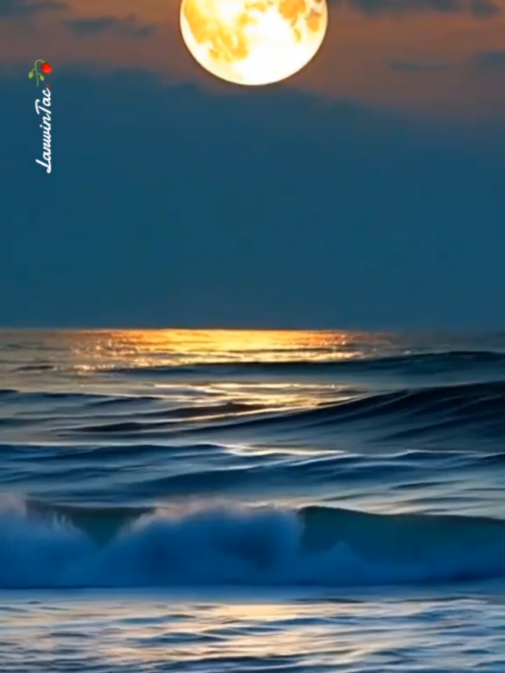 🥀🥀🥀🥀🥀🥀🥀🥀 #moon #more #relaxingvideos #fyp #larwintac 