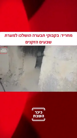 רק לפני ימים אחדים חולל קברו של אלעזר הכהן - ואתמול הוצתה באש מערת הקבורה של שבעים הזקנים | חסידי ברסלב: ״נכנסנו להתפלל והגחלים עוד בערו על הארץ״ | ארגון Jews United: ״התרענו שזה יילך ויחריף; בקבר של הרצל זה לא היה קורה״  📸: Jews United