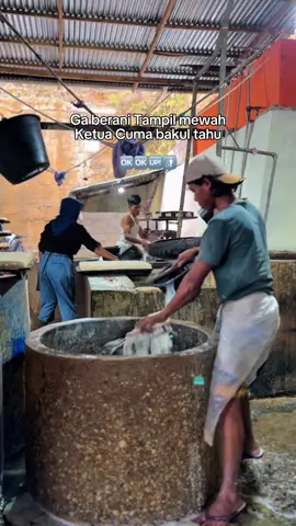 #pabriktahu #bakultahu #pengusahamuda #tahualami #fyp 