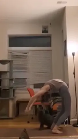 so funny!!!#cats #cute #funnycat #funny #funnyvideos