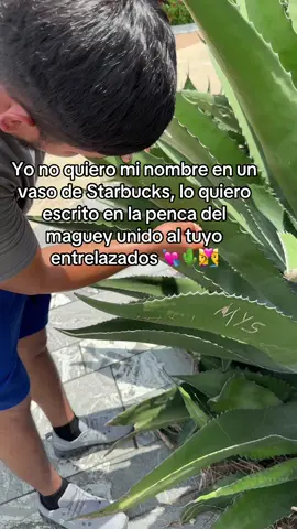 Que grave tu nombre en cualquier lado no tiene precio 💘💗💗#lapencadelmaguey #viraltiktok #VicenteFernandez #parati #contenidoviral 