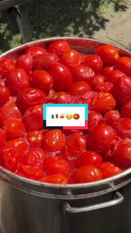 837 jars later🇮🇹🍅 #sauce #tomatoes 
