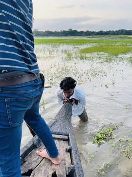 Boat❌gorugari🐮#fyp #vairal_video #nature #boat #foryoupage #gura #vairal #funny #🤣 @fahim mahmud @Shamim Zaman @T A N V I N|🇵🇸 
