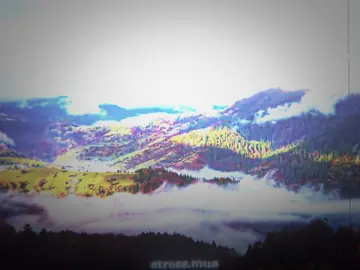 З твоїм днем,моя ненька! #edit #aftereffects #едіт #сергійжадан #україна 