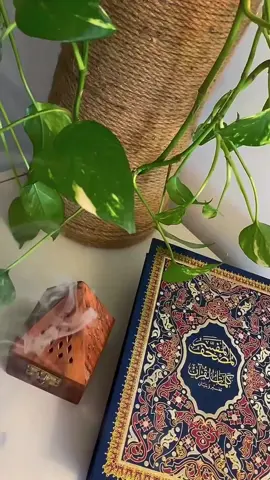 اللهم في يوم الأثنين اللهم طيب خاطر 🙏✨📿#دعاء_يوم_الاثنين #دعاء_جميل #دعاء_يريح_القلوب #اللهم_امين #fyp 