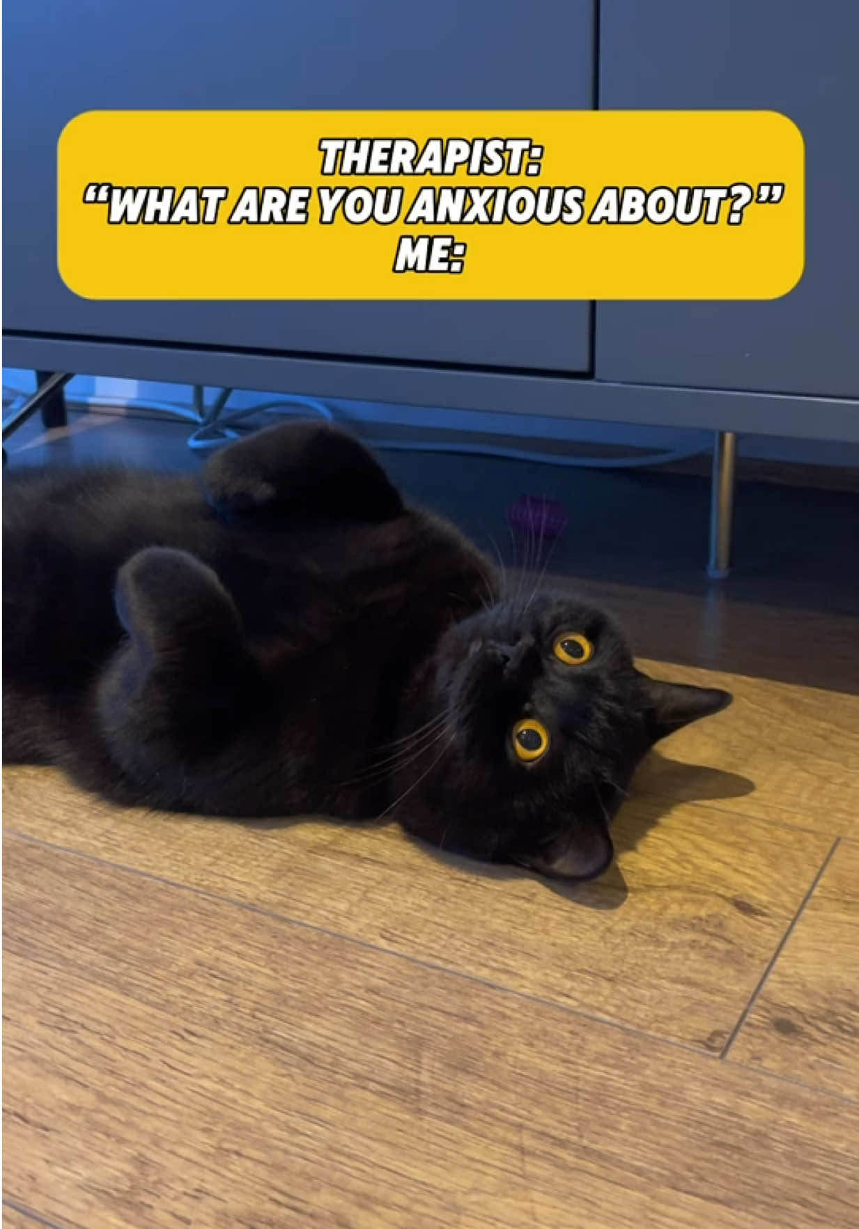 Things… #anxietysquad #existentialcrisis #blackcat #catmemes  #funnycatvideos 