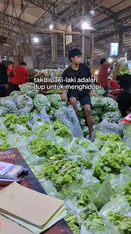 #CapCut 😇#fyp #pasarindukcibitung #amtkingvegetable #bosmuda 