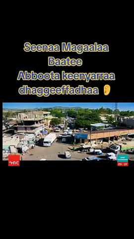 #creatorsearchinsights #oromotiktok #ethiopian_tik_tok🇪🇹🇪🇹🇪🇹🇪🇹 #oromotiktok❤️💚❤️ethiopiantiktok #ባቲ➻የፍቅርአገር♥♥♥️♥️ Magaalaa Baatee 🥰🥰🥰@Ahmedin @Ofiin bulaa baatee💯 @Endris Seid Baatee @Abu Atika @ADEN ALI @ዙዙ ባቲ - Tube @hayu @ፋፊ ባቲ 