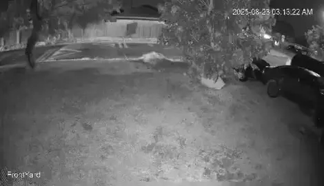 🚨#ALERTA🚨 QUE MIEDO!!!😱 Mujer denuncia que un hombre de una camioneta la siguió hasta su casa durante la madrugada de ayer sábado, trató de subirse a la fuerza a su vehículo y al ver que hablaba para pedir ayuda, se fue rápidamente no sin antes rasparle el vehículo.  Estos hechos ocurrieron en Ave. Artemisa en #Brownsville, Texas. 