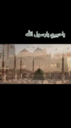 #مديح #مدح_رسول_الله #ياحبيبي_يا_رسول_الله #اللهم_صل_على_محمد_وآل_محمد #علي_معن_الصوفي 