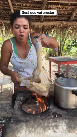 Será que vai prestar #receita #frango #caipira #top #viralvideos 