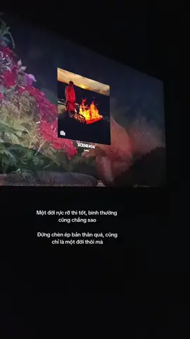 #shynf 
