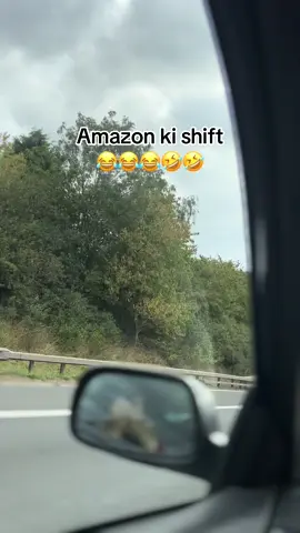 Amazon drivers be like 😂🤣😂🤣🤣#capcut_edit #foryoupage❤️❤️ #foryou #reels #internationalstudent #funnytiktok #memestiktok @Hamza wahid 