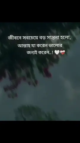 জীবনে সবচেয়ে বড় সান্তনা হলো, আল্লাহ যা করেন ভালোর জন্যই করেন..! 🤍❤️‍🩹
