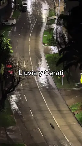 Cerati hasta la muerte. #Gustavocerati #cerati #sodastereo #sudestada #lluvia 