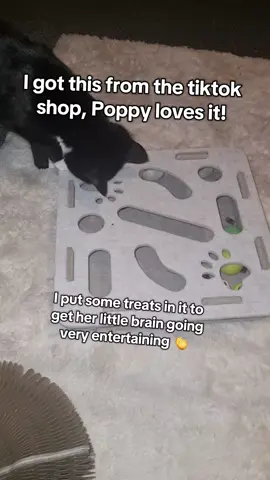 great little puzzle to stop your cats from being bored #catlover #catlovers #cat #kitten #fyp 