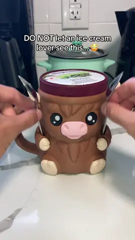 Hide this from an ice cream fan 🤫